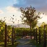 Ariana Sustainable Luxury - Special Category - Cappadocia Hotel 4*