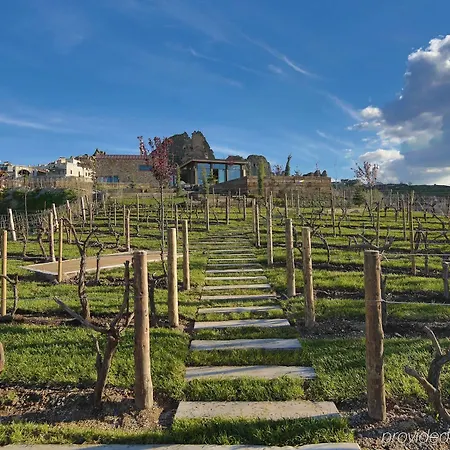 Ariana Sustainable Luxury - Special Category - Cappadocia 4*