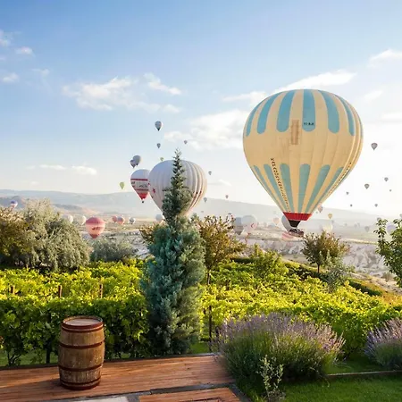 Ariana Sustainable Luxury - Special Category - Cappadocia 4* ウチヒサール