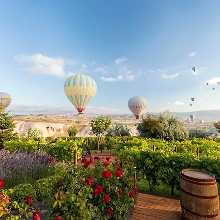 Ariana Sustainable Luxury - Special Category - Cappadocia Hotel 2*